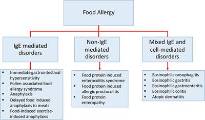 Regulatory Immune Mechanisms in Tolerance to Food Allergy